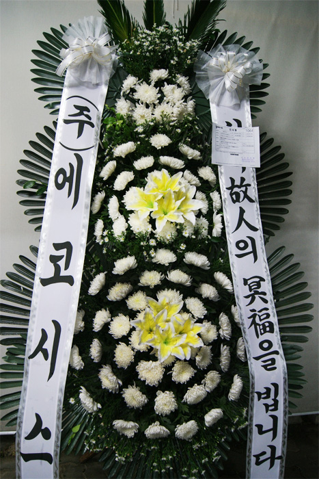 dica_img