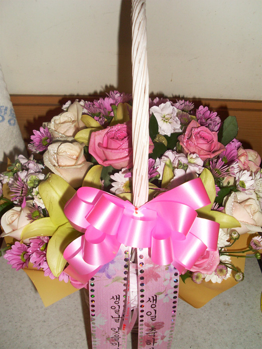 dica_img