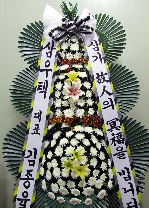 dica_img