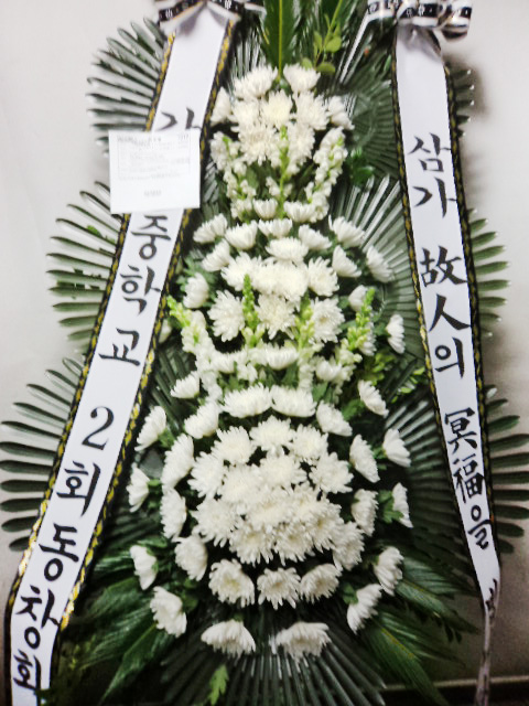 dica_img