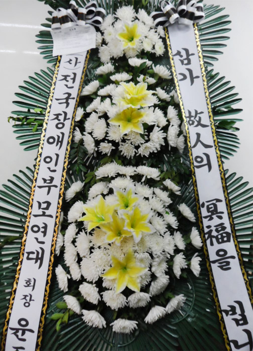 dica_img