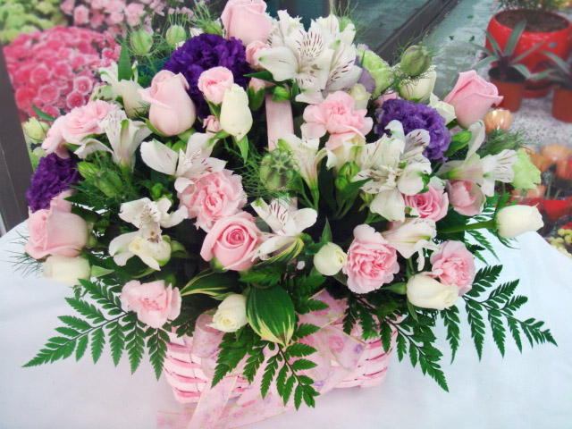 dica_img