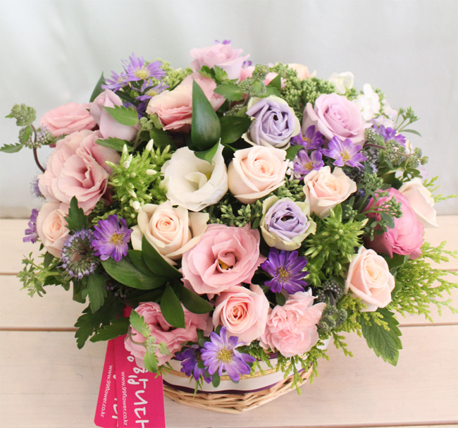 dica_img
