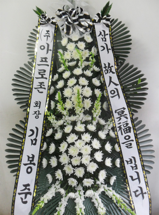 dica_img
