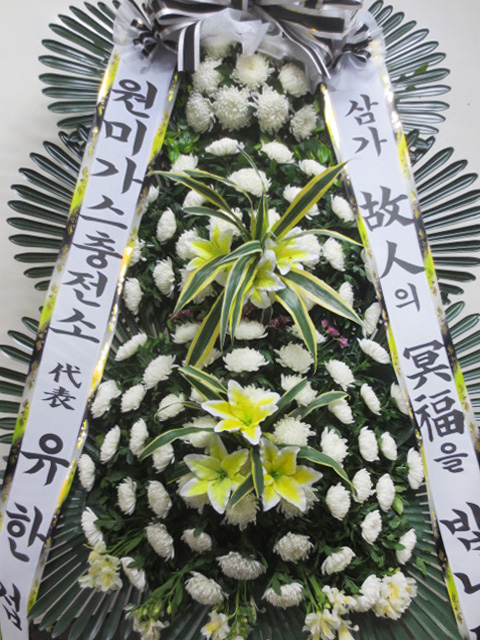 dica_img