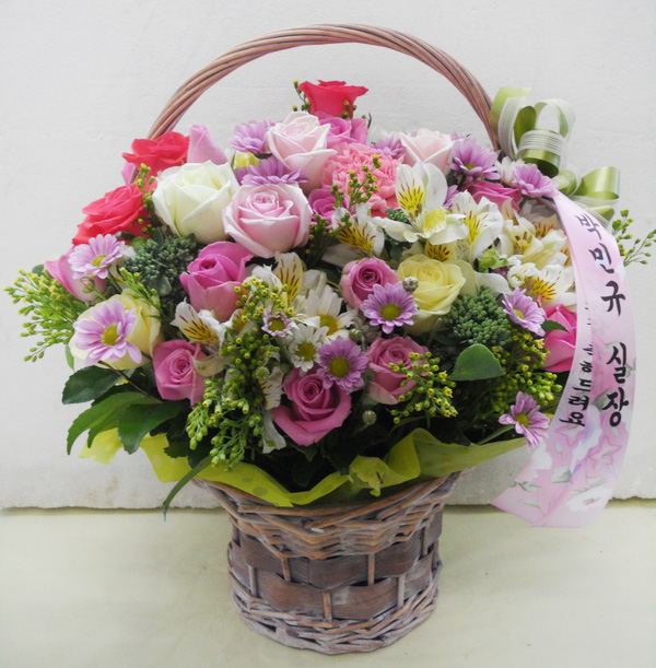 dica_img