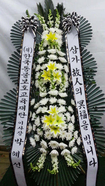 dica_img