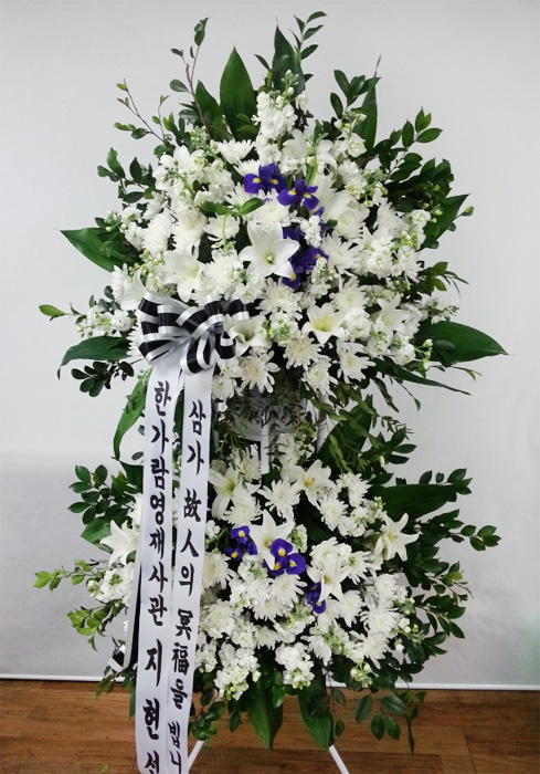 dica_img