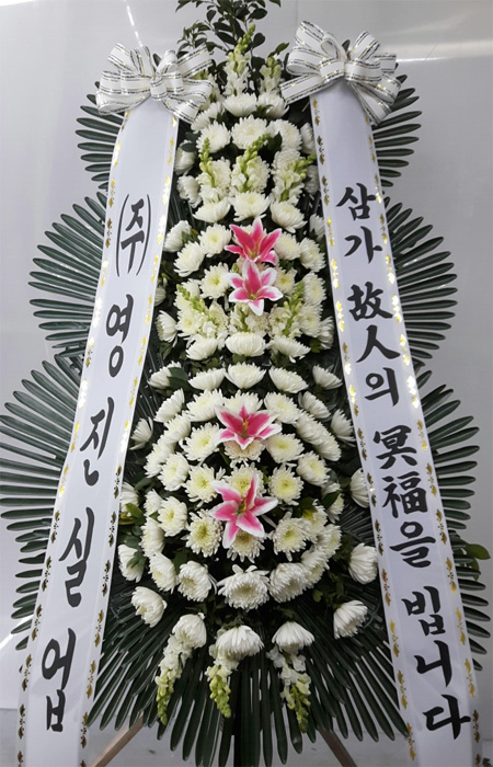 dica_img