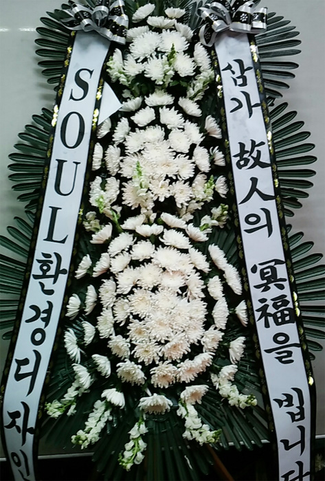 dica_img