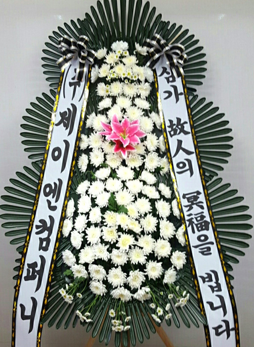 dica_img
