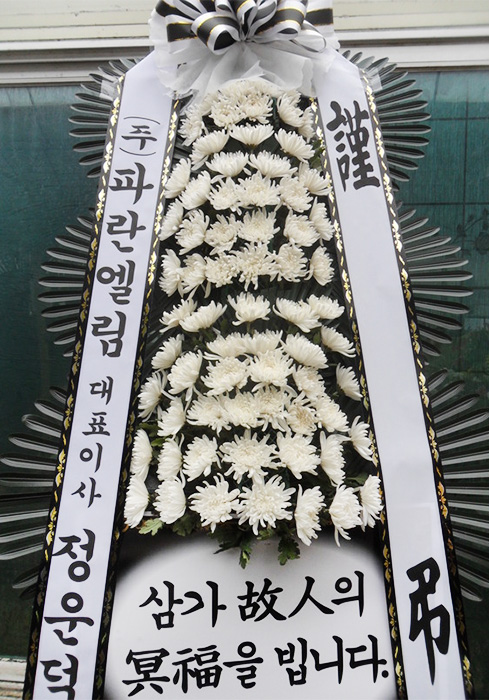 dica_img