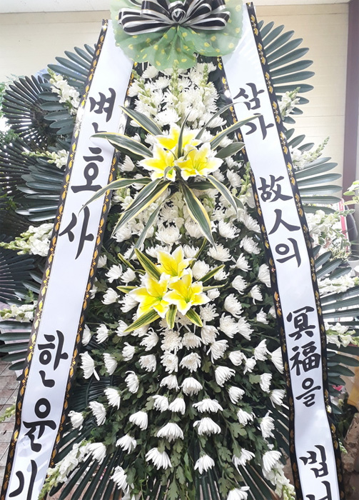 dica_img