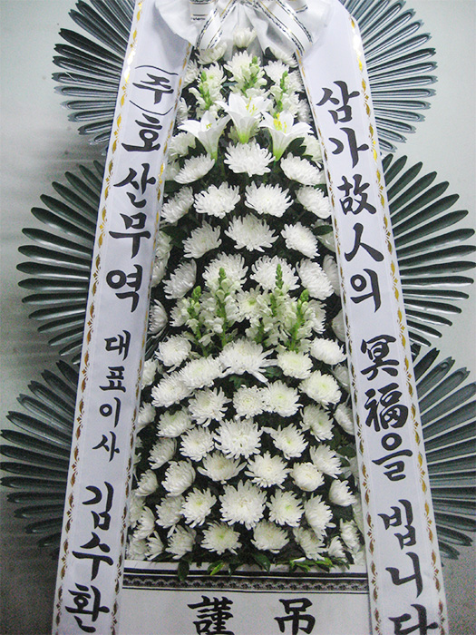 dica_img
