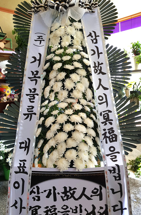 dica_img