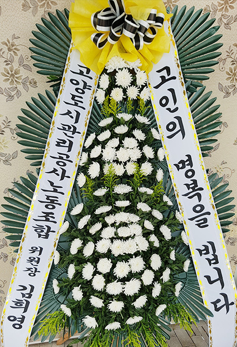 dica_img