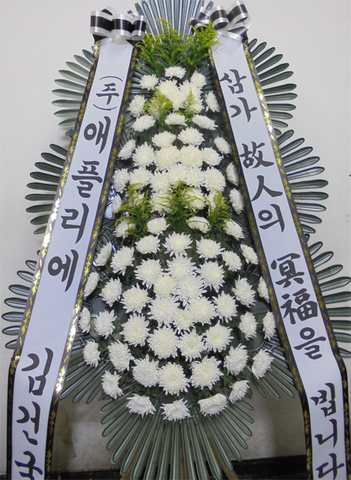 dica_img