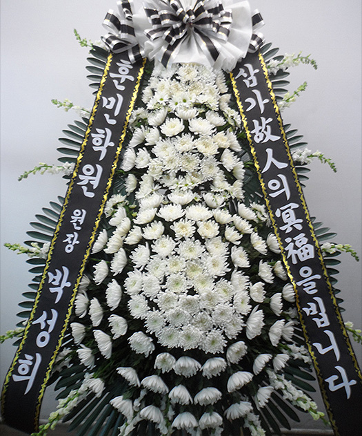dica_img