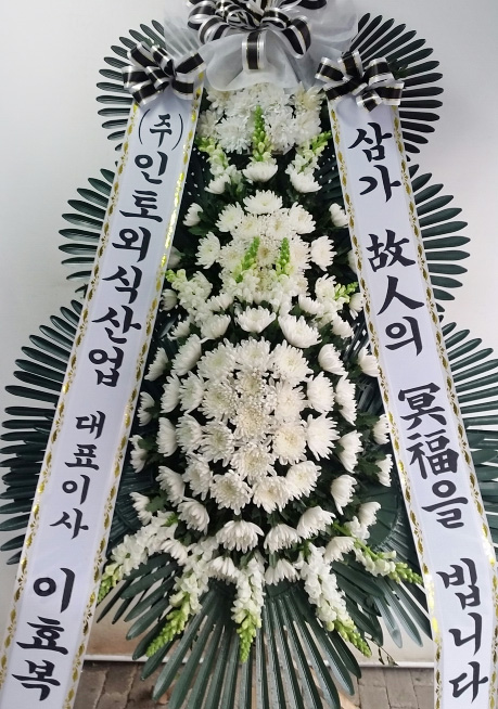 dica_img