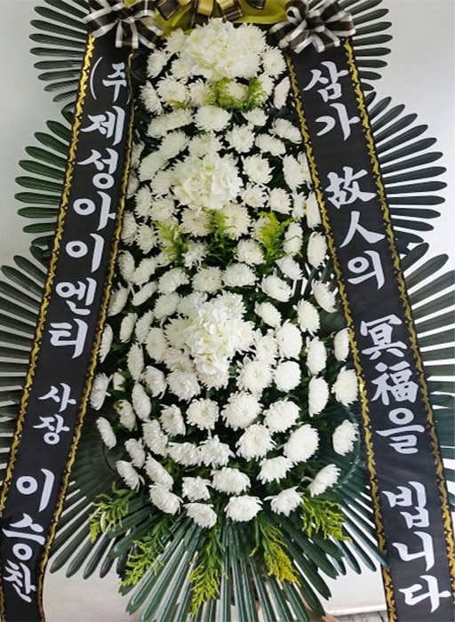 dica_img