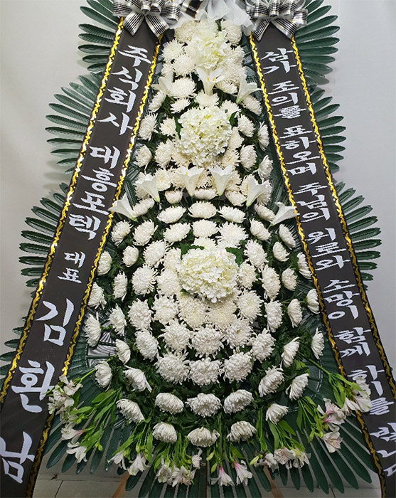 dica_img