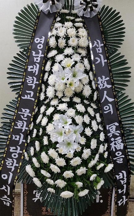 dica_img