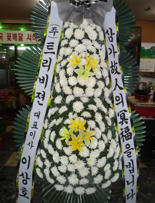 dica_img