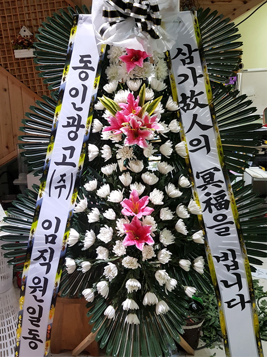 dica_img