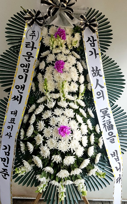 dica_img