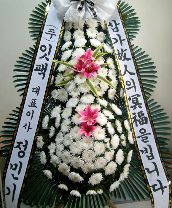 dica_img