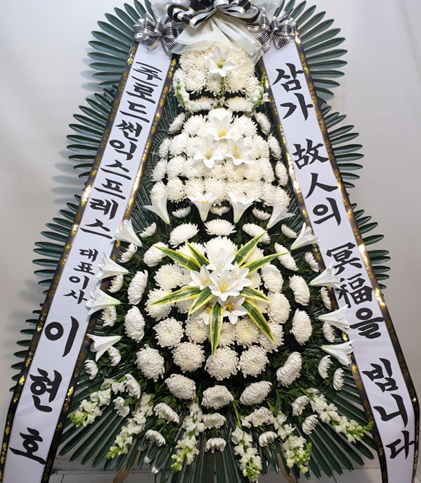 dica_img