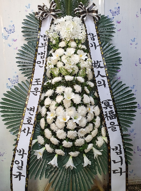 dica_img
