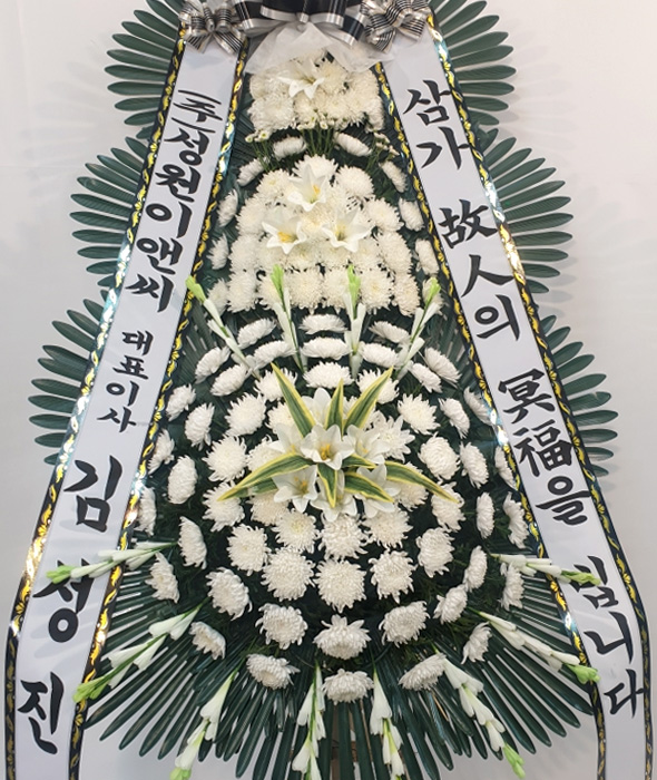 dica_img