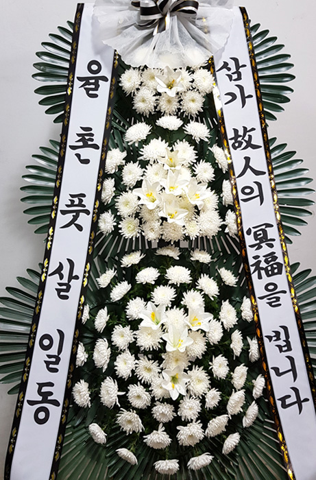 dica_img