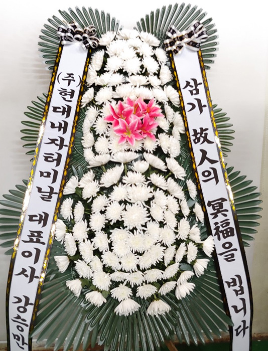 dica_img