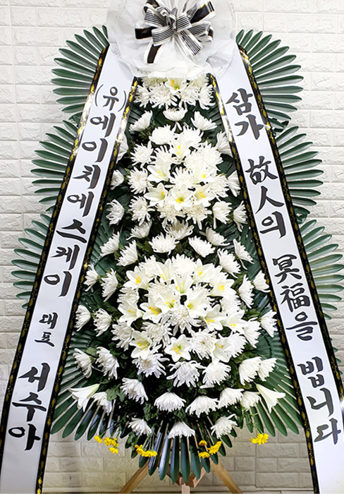 dica_img