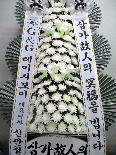 dica_img