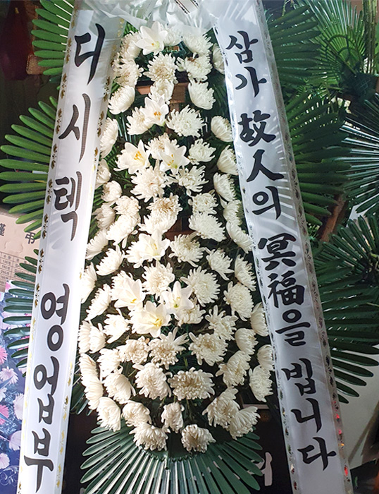 dica_img