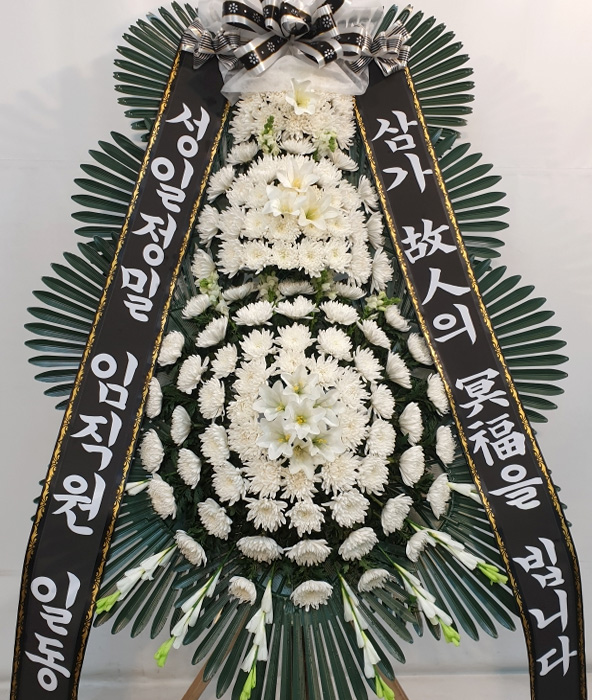 dica_img