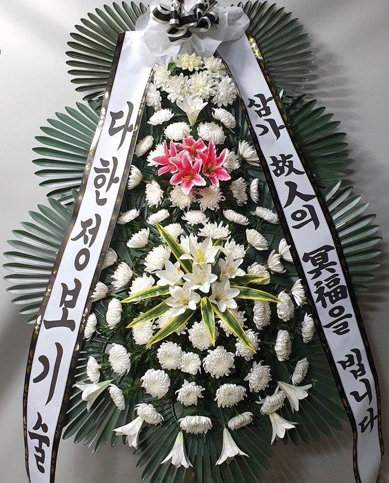 dica_img