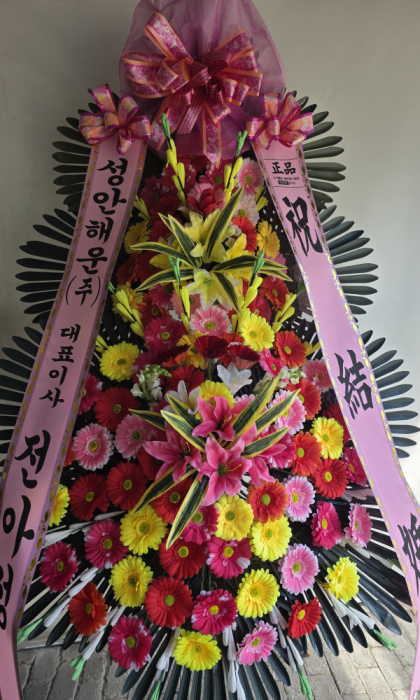 dica_img