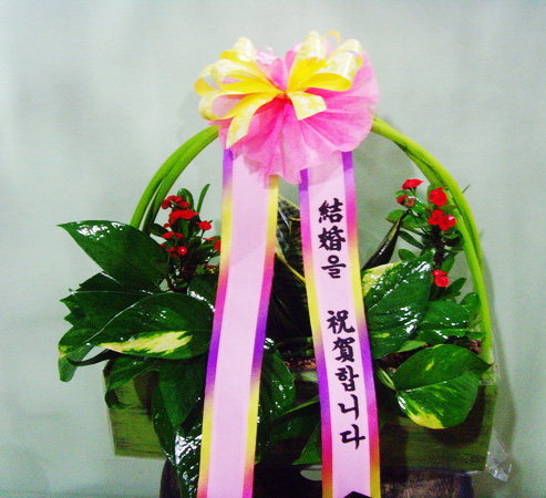 ST-K039