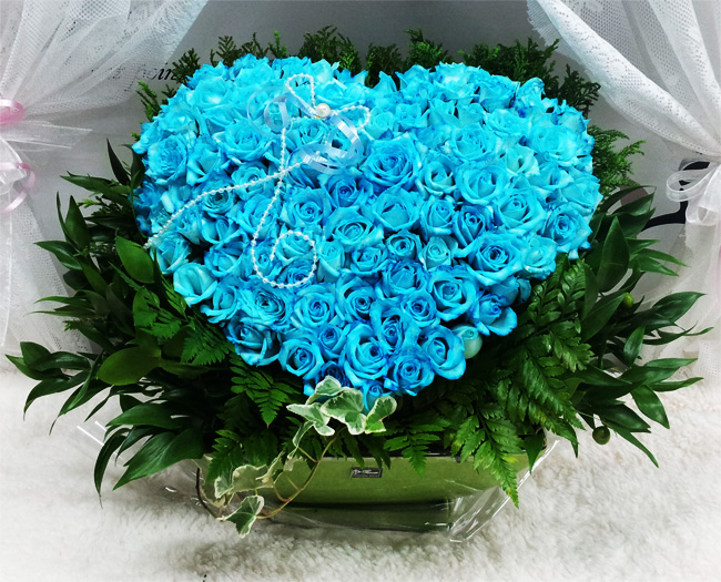 ST-C244