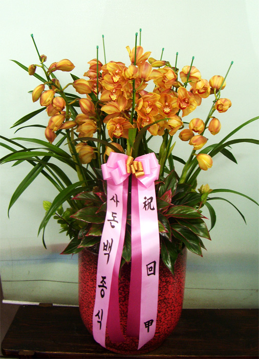 ST-H361