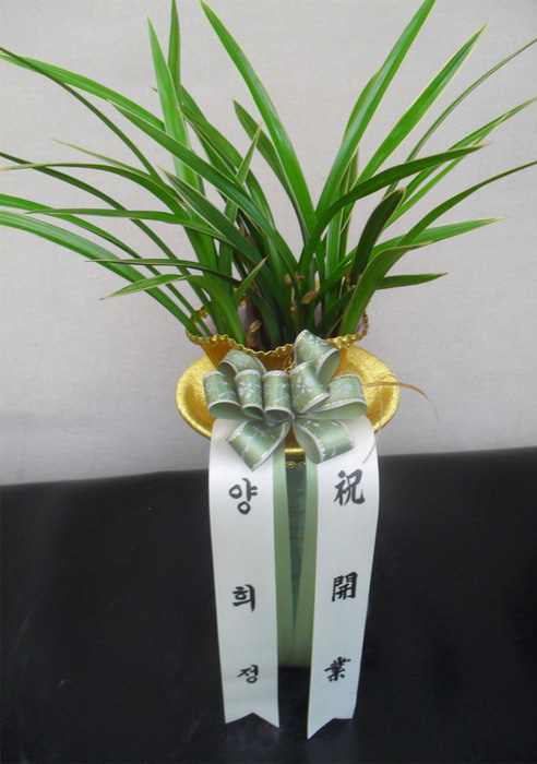 ST-E440
