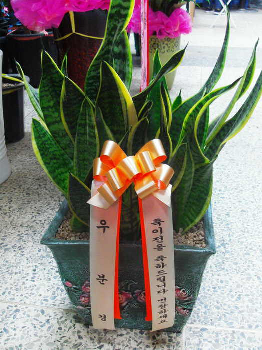 ST-J62