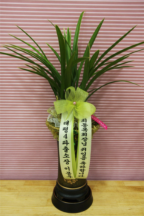 ST-E312