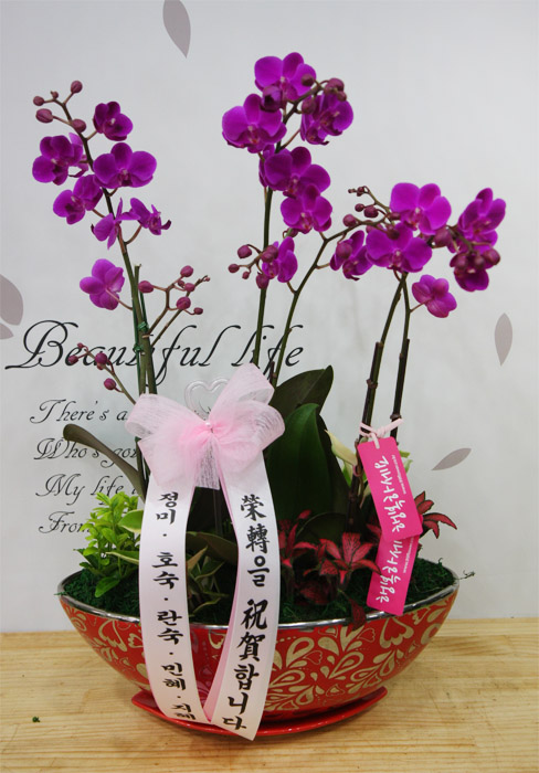 ST-H383