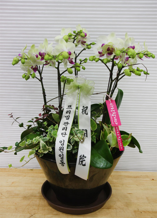 ST-H288