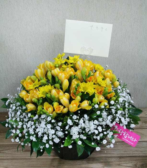 ST-C330